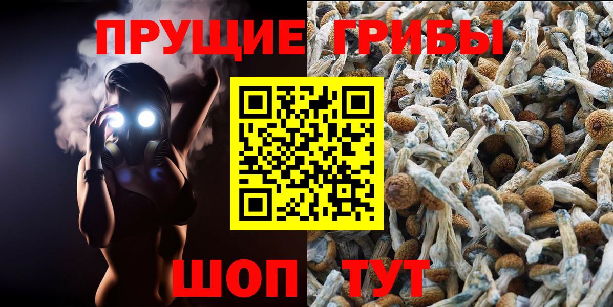 Медногорск  Псилоцибиновые грибы Cubensis  Галлюциногенные грибы GOLDEN TEACHER  Вход с VPN 
